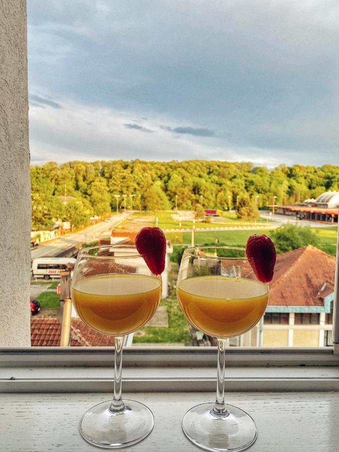 Apartmani Banja Spa Vrnjačka Banja エクステリア 写真