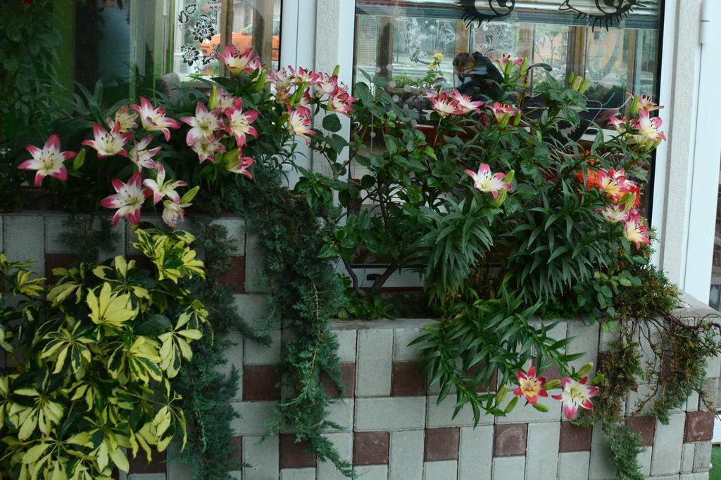 Apartmani Banja Spa Vrnjačka Banja エクステリア 写真